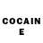 Cocaine Fish Scale Maitre Lezard